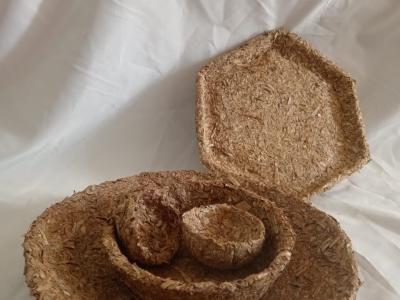 Banana Straw Pulp Products Project